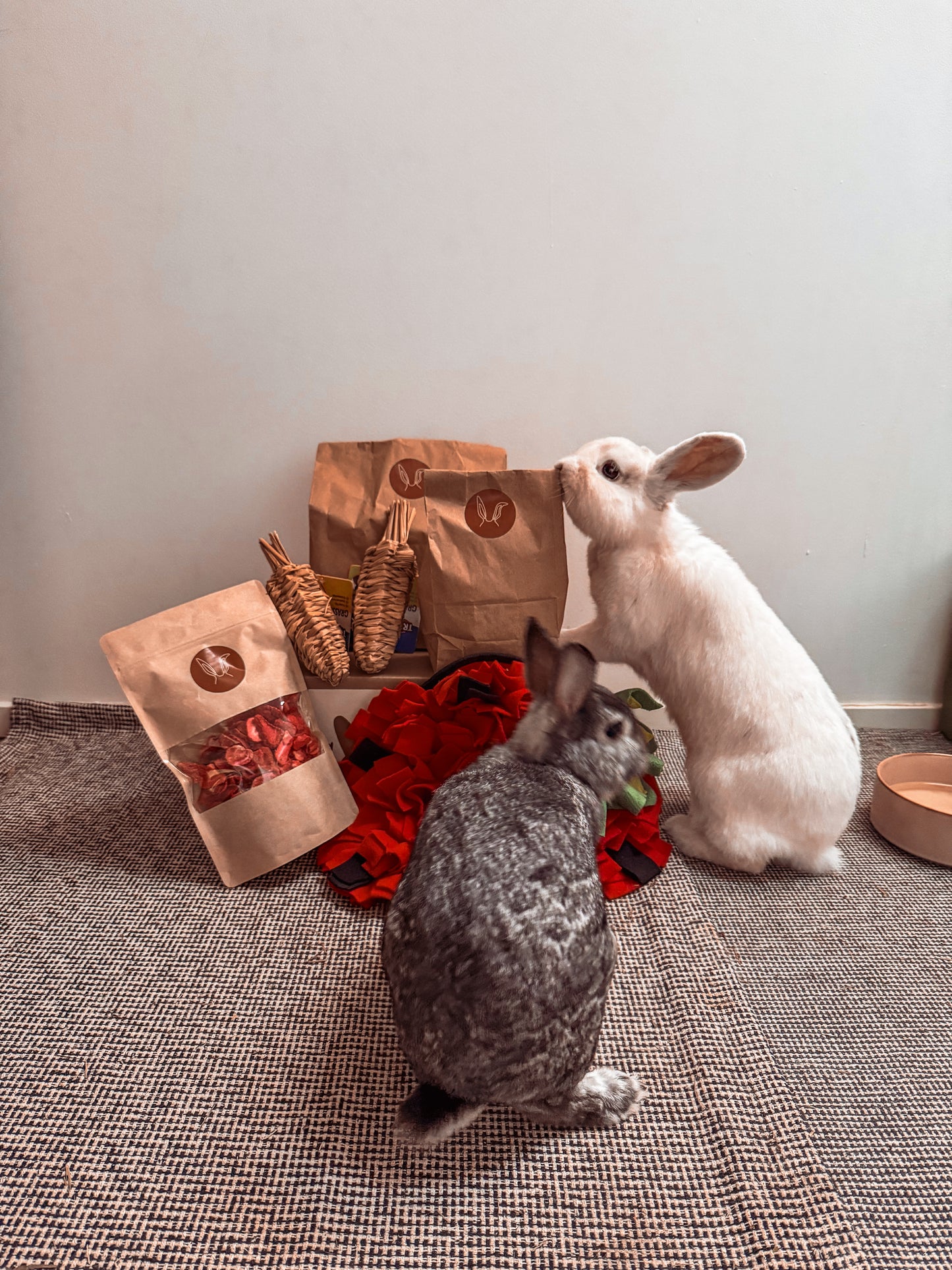 Speelpakket Juli | Kontent Abonnement | Snuffelmat & Gezonde Snacks voor Konijnen