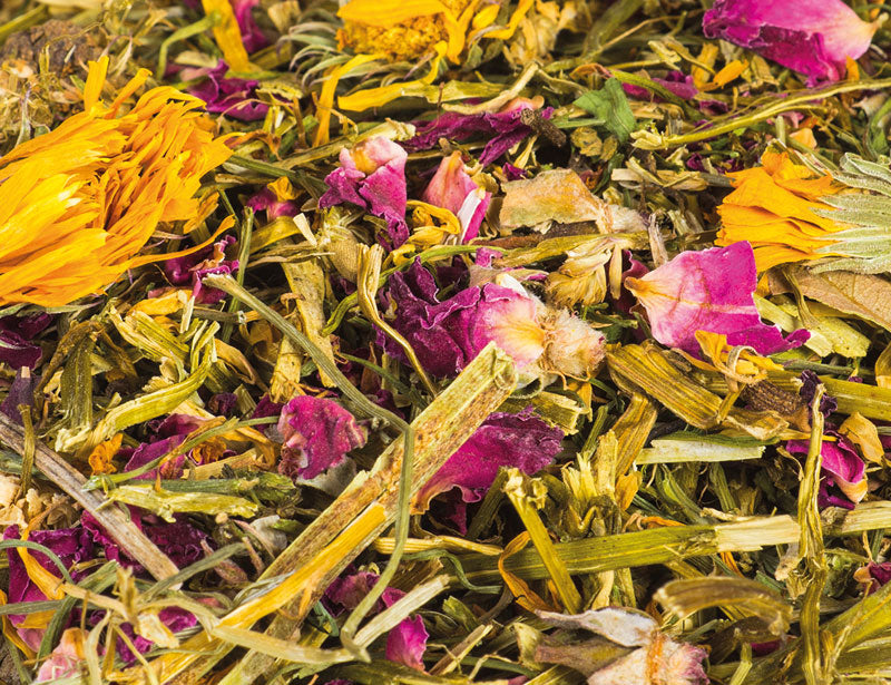 Wilde bloemenweide voor konijnen: een gevarieerd festijn uit de natuur