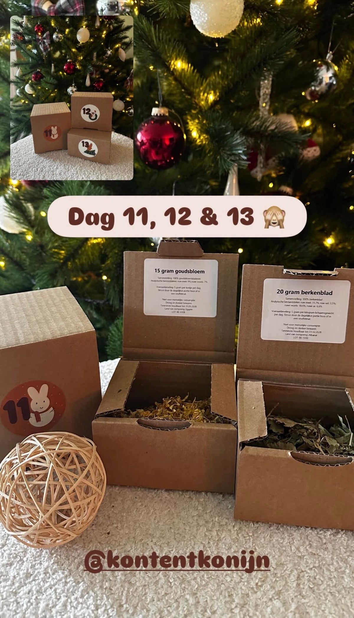 Adventskalender voor konijnen