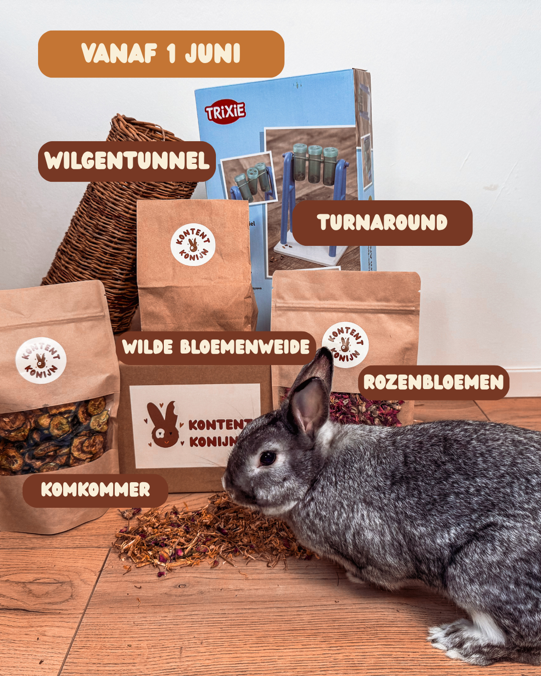 Het Kontent Abonnement – Speelpakket