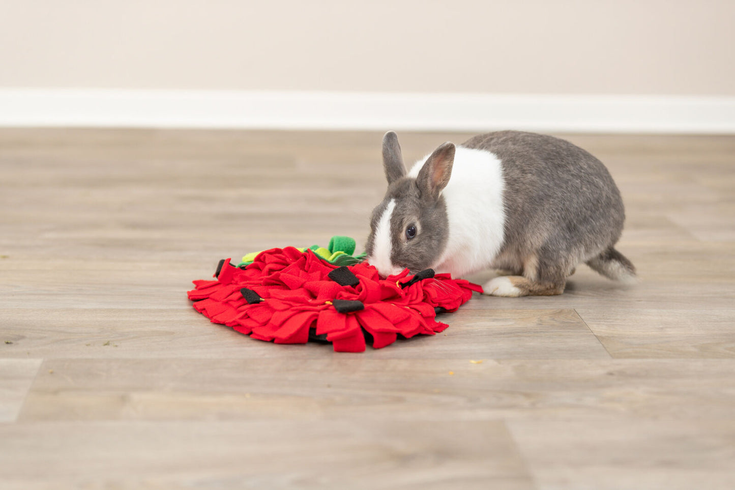 Trixie Snuffelmat Aardbei β Snuffelplezier in een vrolijk jasje ππ°