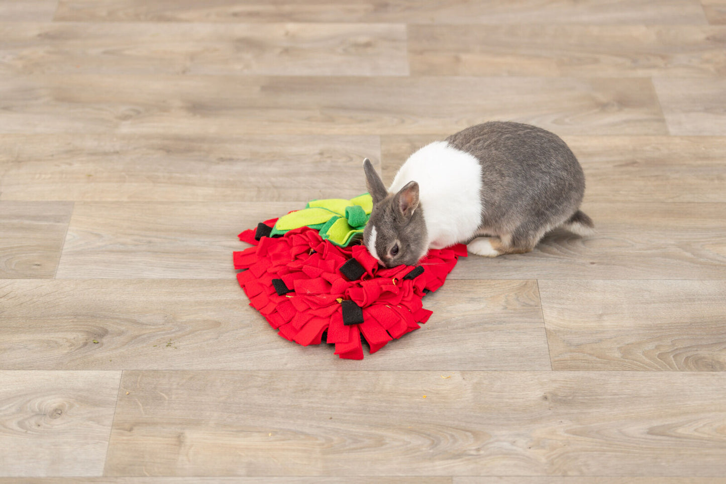 Trixie Snuffelmat Aardbei β Snuffelplezier in een vrolijk jasje ππ°