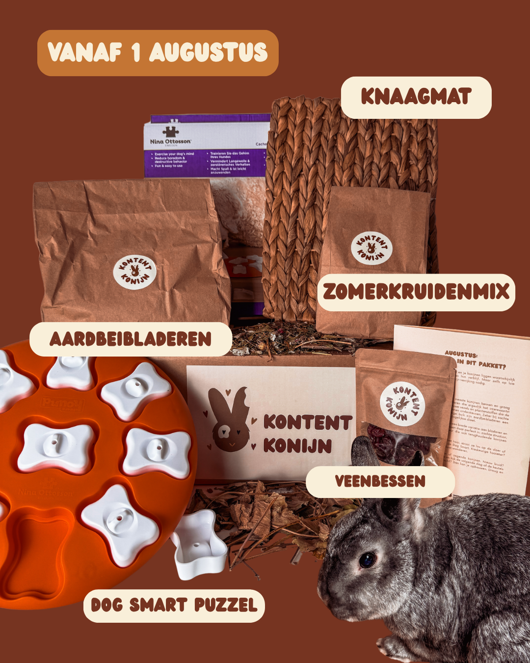 Het Kontent Abonnement – Speelpakket