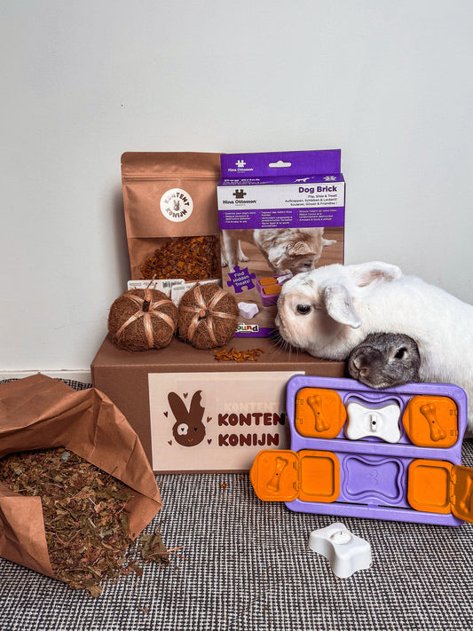 🎃 Oktober Speelpakket – Herfstpret voor jouw konijnen