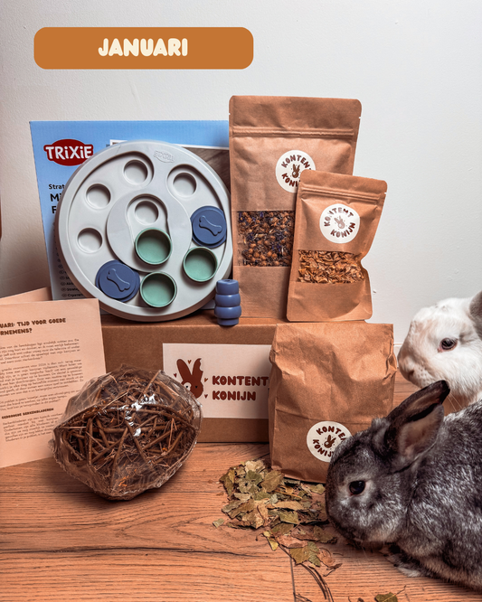 Speelpakket Januari