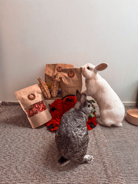 Speelpakket Juli | Kontent Abonnement | Snuffelmat & Gezonde Snacks voor Konijnen