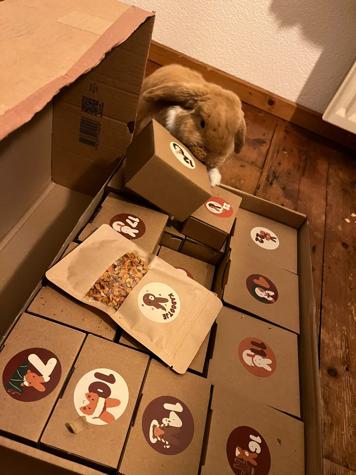 Adventskalender voor konijnen