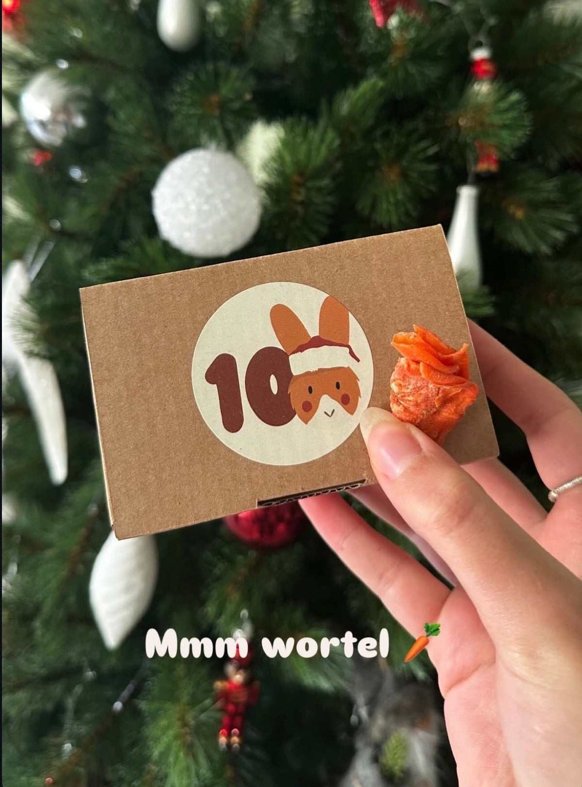 Adventskalender voor konijnen