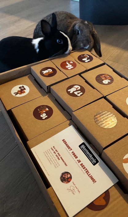 Adventskalender voor konijnen