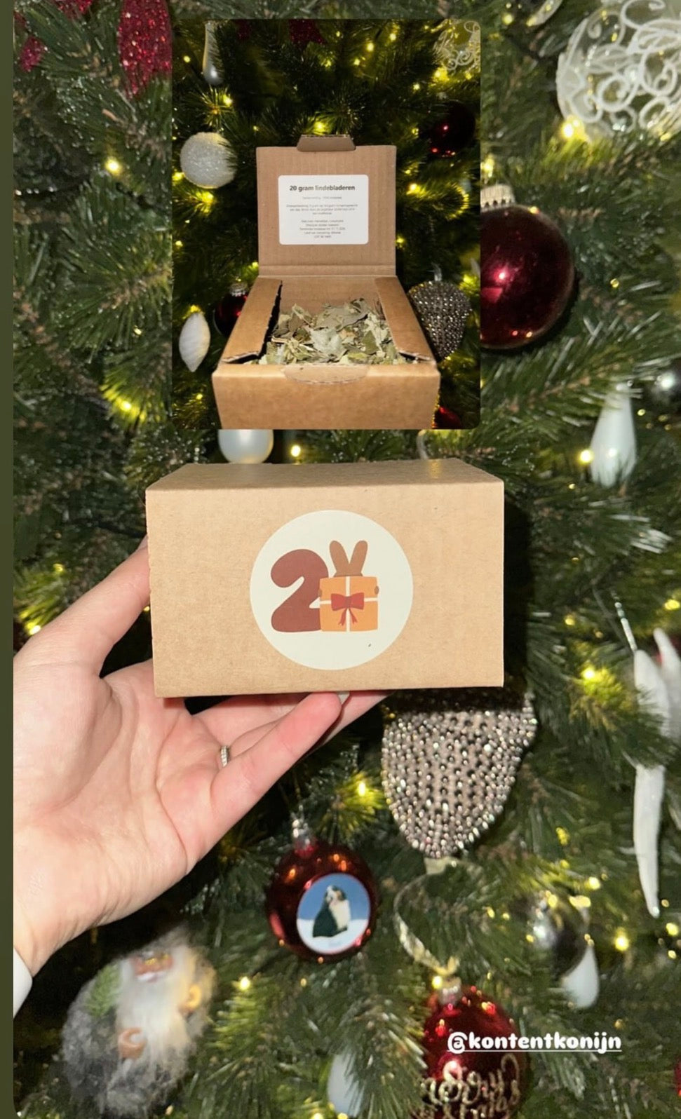Adventskalender voor konijnen