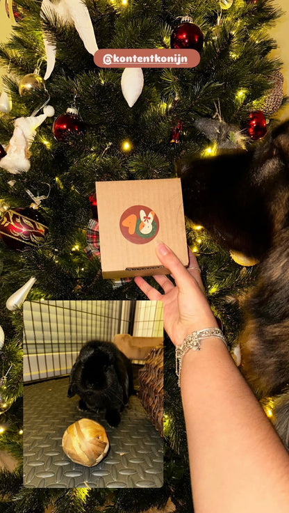 Adventskalender voor konijnen