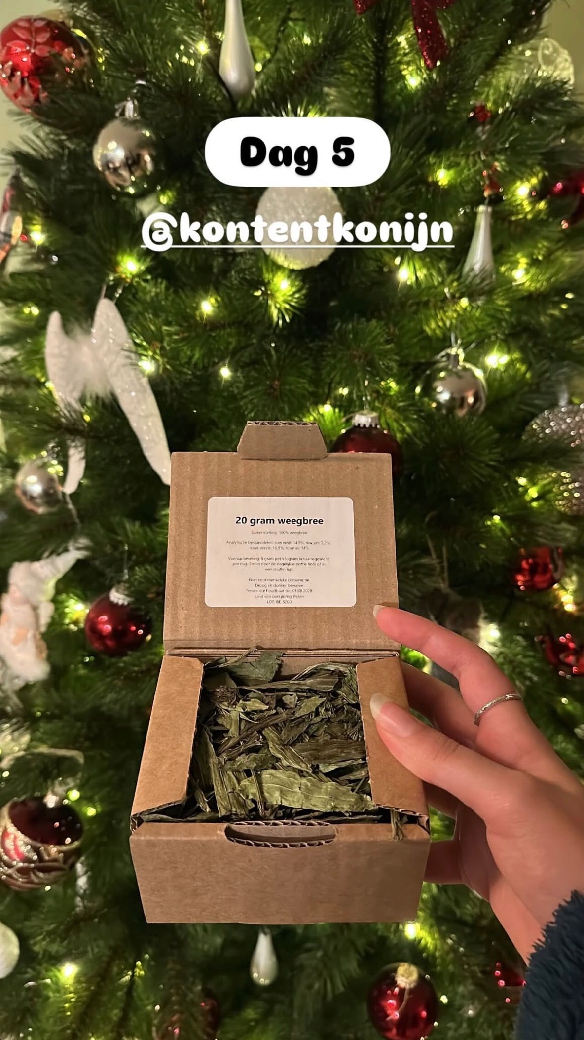Adventskalender voor konijnen