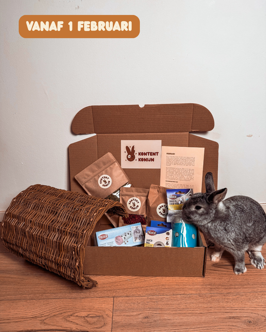 Speelpakket Februari